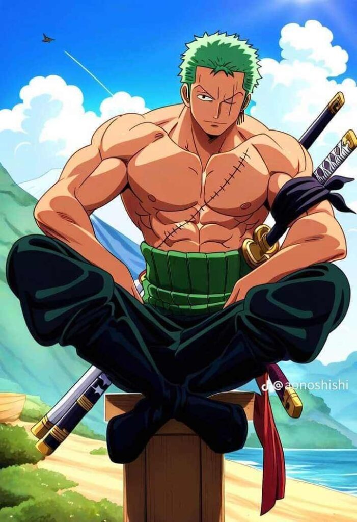 Zoro PFP Boy