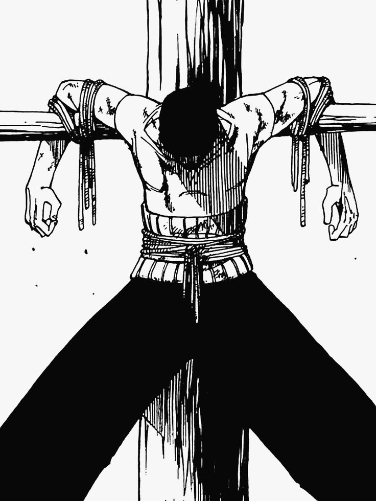 Zoro PFP Manga