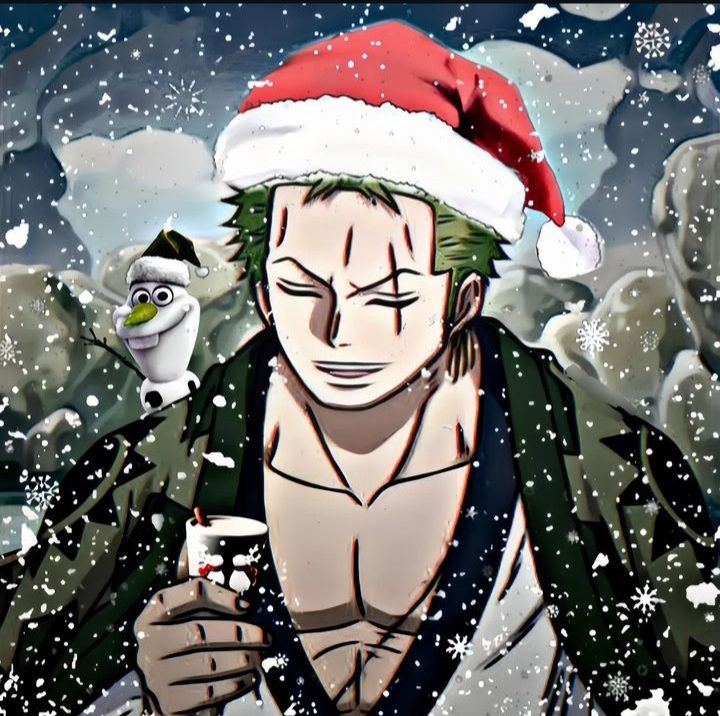 Zoro PFP Christmas