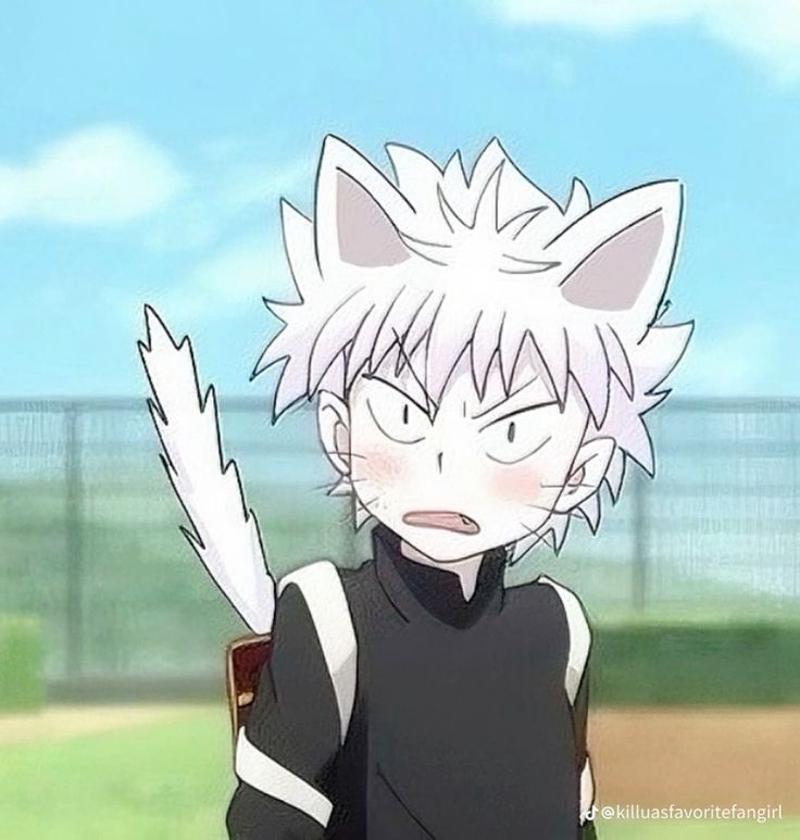 Killua pfp funny