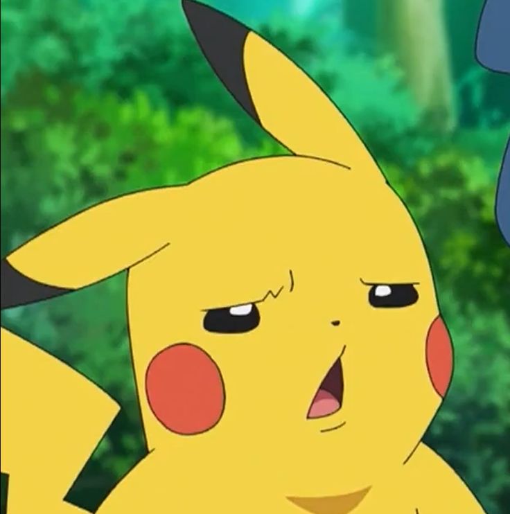 Pokemon PFP Funny