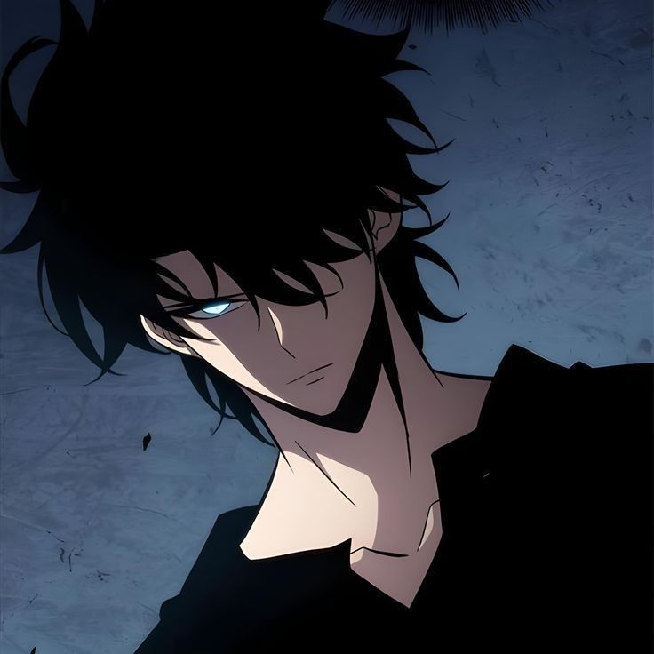 Solo leveling pfp for tiktok