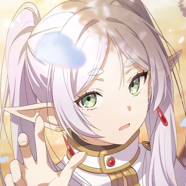 frieren pfp cute