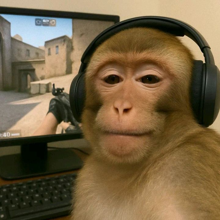 Monkey PFP Discord