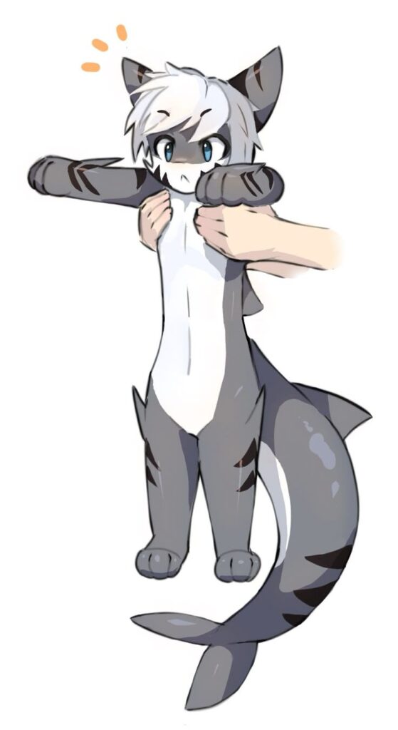 shark femboy pfp