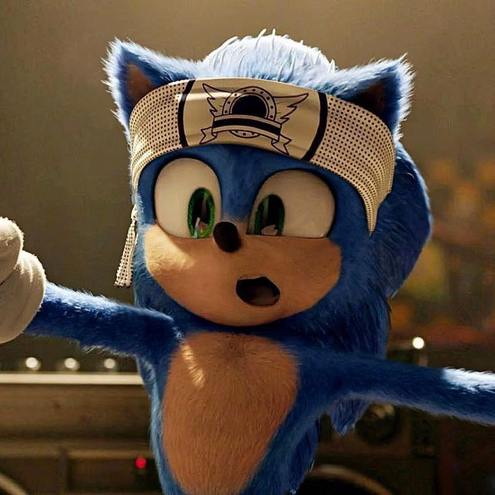Cool Sonic pfp anime