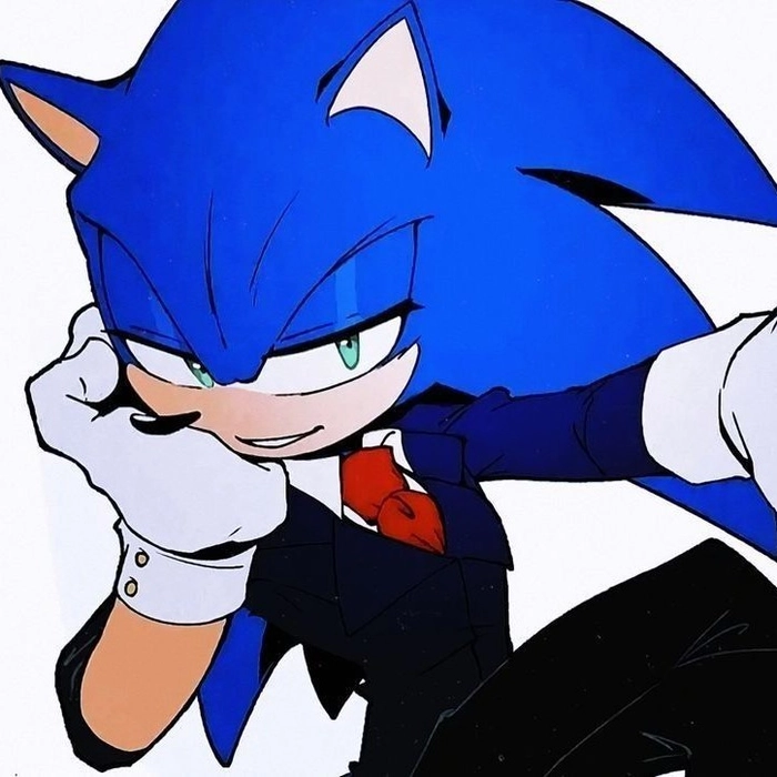 Cool Sonic pfp anime