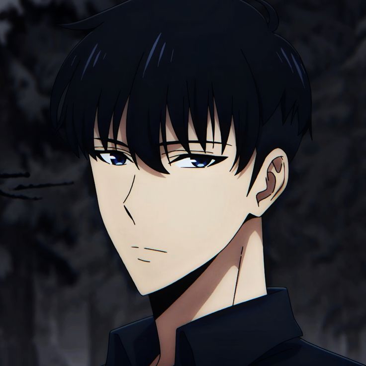 Solo leveling pfp for pinterest