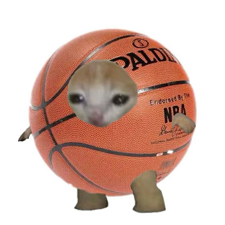 Basketball PFP Funny