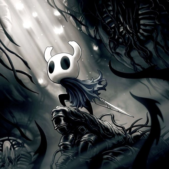 Hollow knight pfp cute