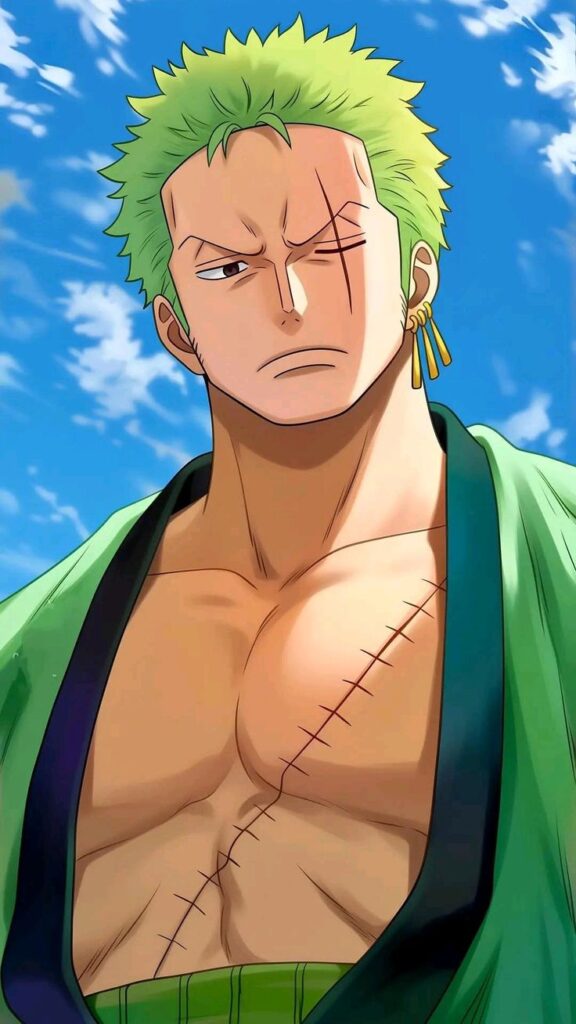 Zoro PFP Boy