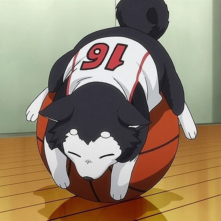 Anime Basketball PFP
