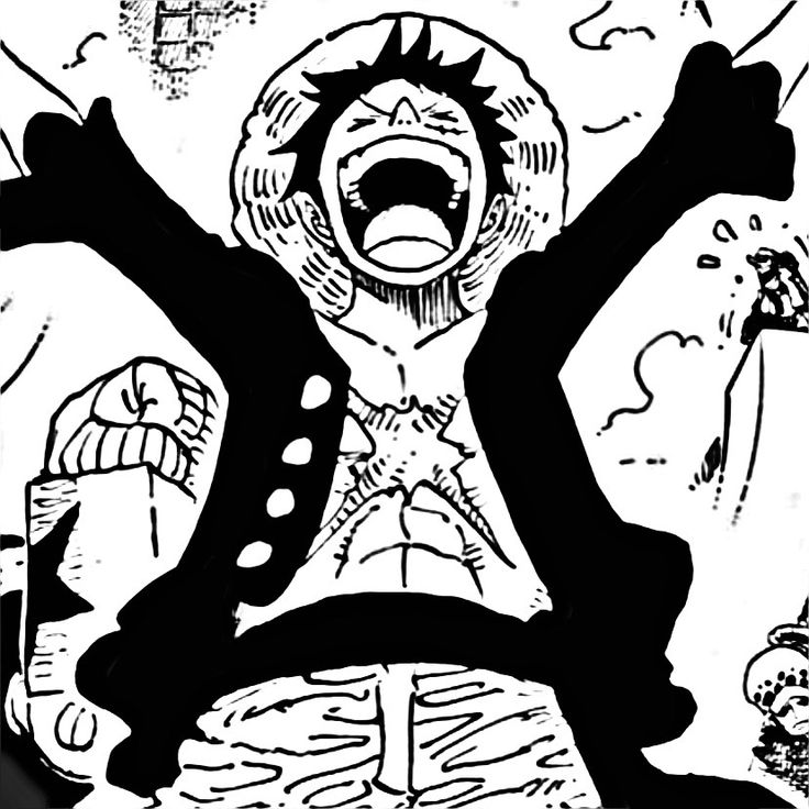 One Piece PFP Manga