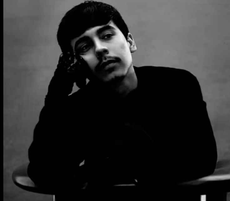Aesthetic singer profile picture style