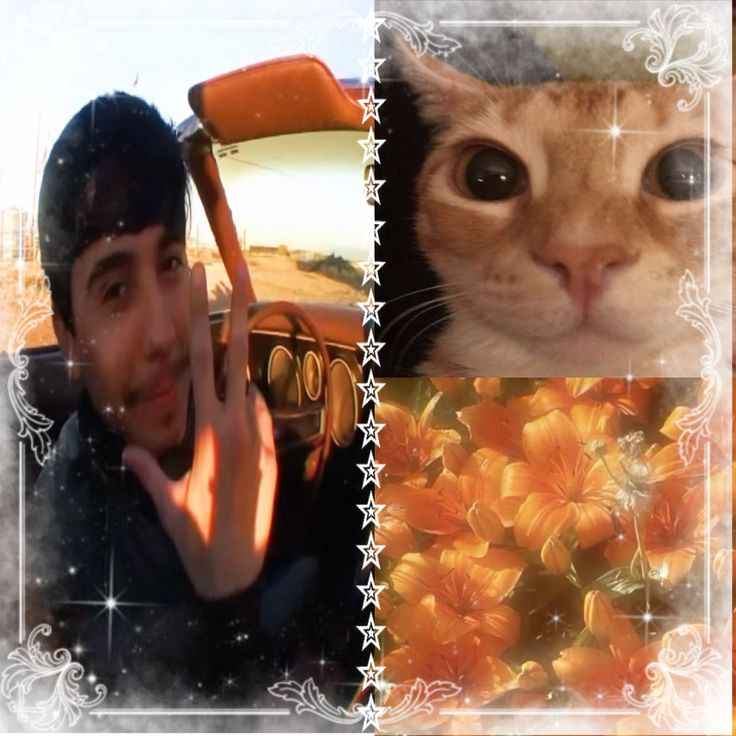 High quality music artist pfp