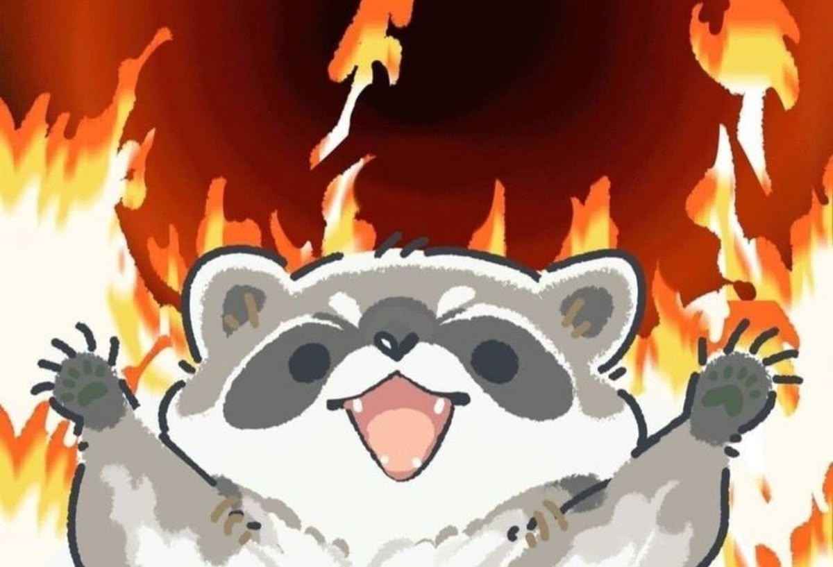 Sleepy raccoon cozy vibes