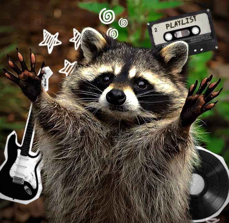 Dark themed raccoon portrait