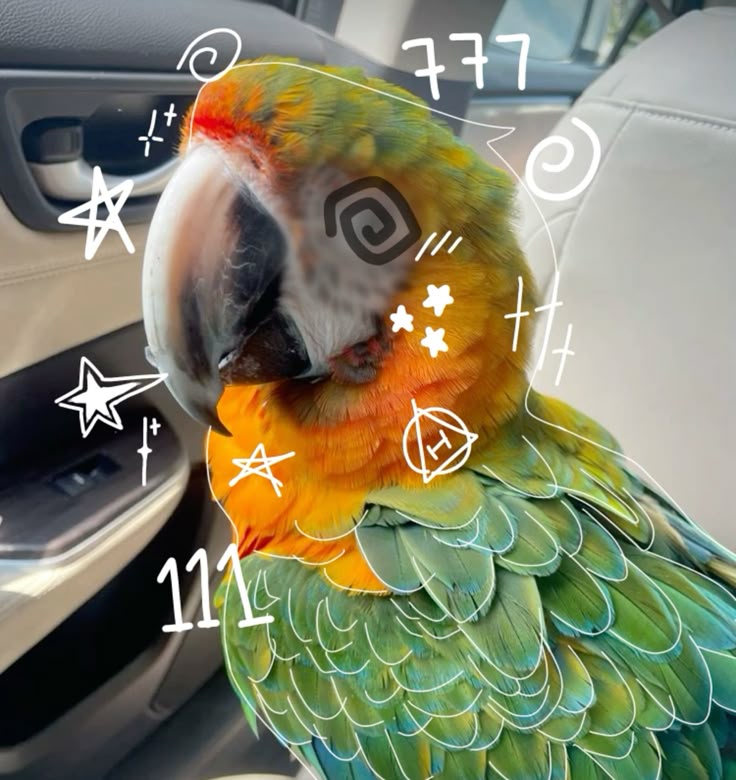 Therian PFP reflecting deep connection with animal spirit identity