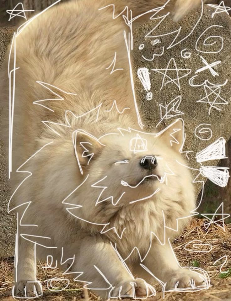 Therian PFP expressing individuality and spiritual connection to animals