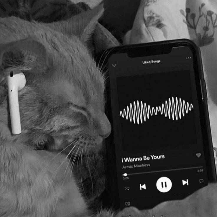 aesthetic sound vibe profile pfp