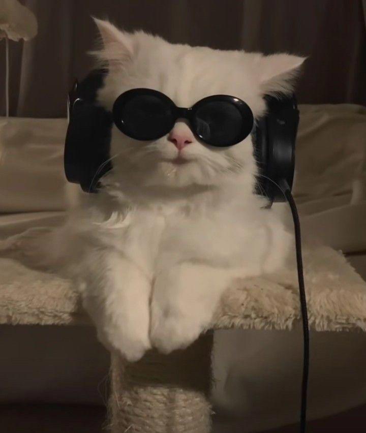 chill vibe headphones profile pic