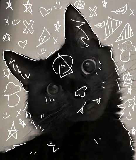 Funny meme style pfp choice