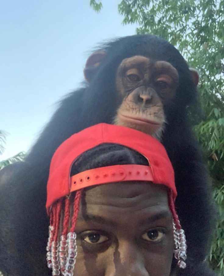 aesthetic lil yachty pfp style